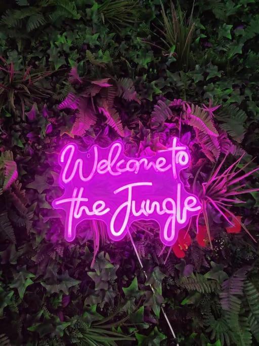페르피냥 La Jungle Urbaine Avec Garage Prive & Climatisation 아파트 외부 사진